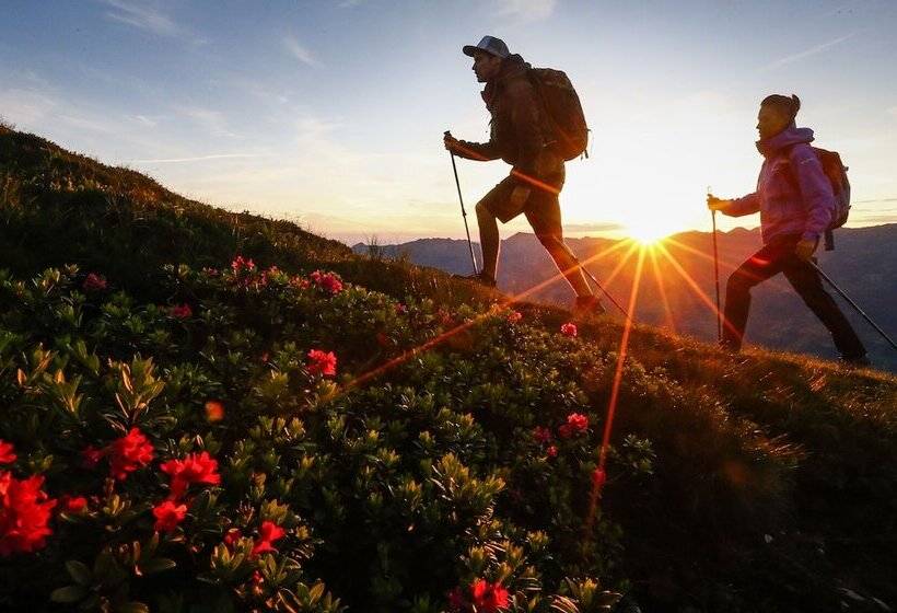 Platzhirsch Apart & Mayrhofen