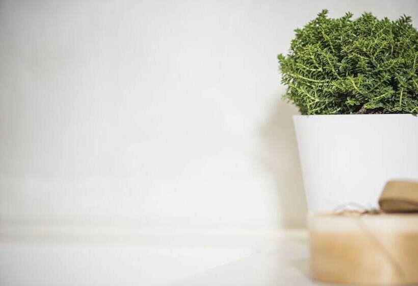 Platzhirsch Apart & Mayrhofen