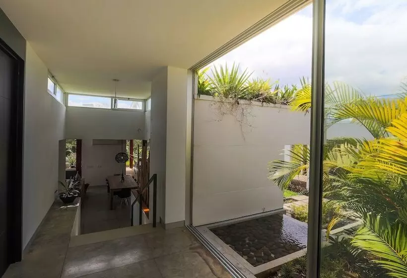 Bella Luna   Luna 33