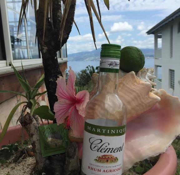 Apartment With 2 Bedrooms In Anse D Arlet, With Balcony And Wifi  4 Km From The Beach