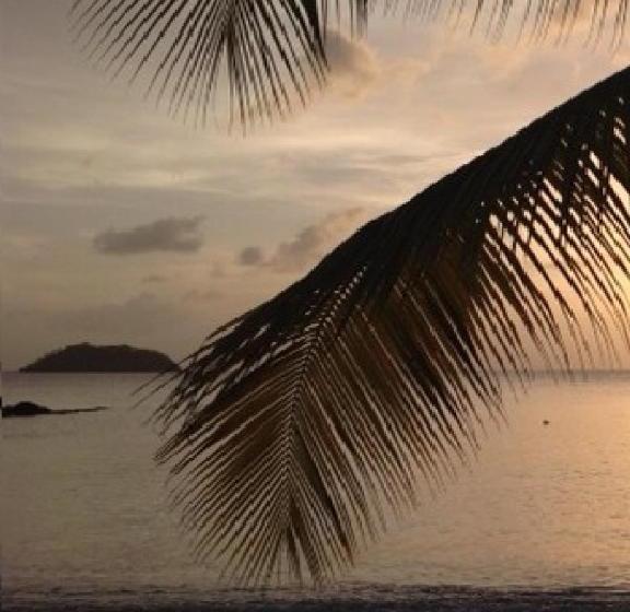 Apartment With 2 Bedrooms In Anse D Arlet, With Balcony And Wifi  4 Km From The Beach