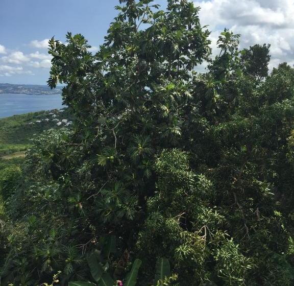 Apartment With 2 Bedrooms In Anse D Arlet, With Balcony And Wifi  4 Km From The Beach