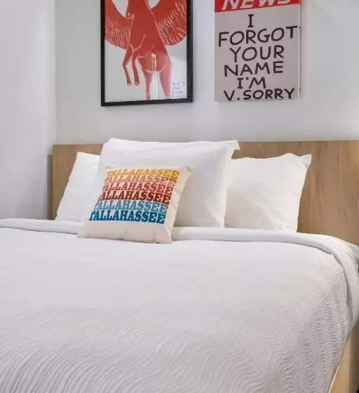 Bob Hotels Tallahassee   Boutique On Budget