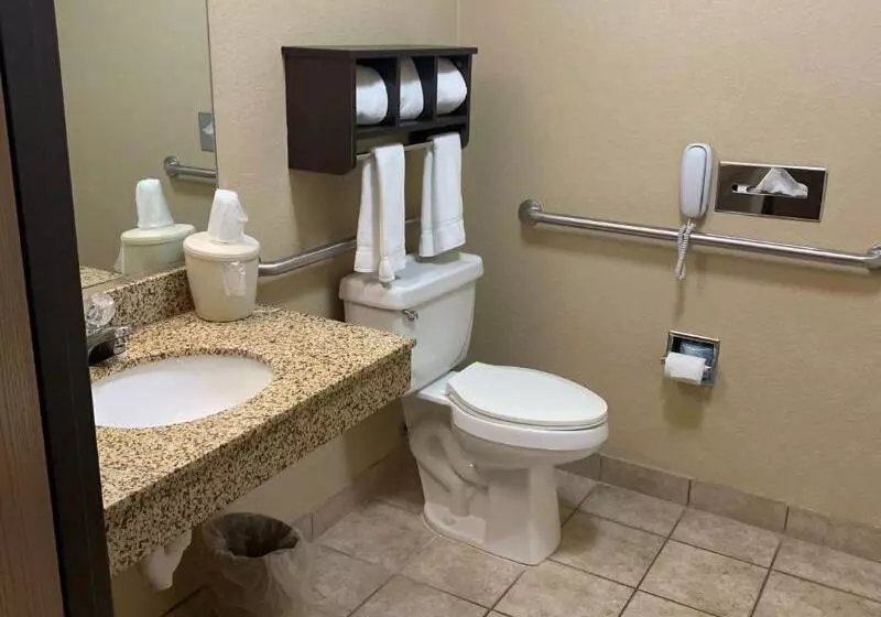 Отель Best Western Watertown Inn And Suites