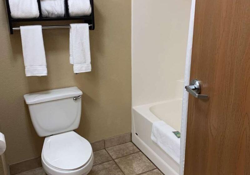 فندق Best Western Watertown Inn And Suites