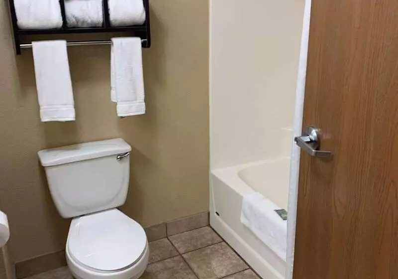 Отель Best Western Watertown Inn And Suites