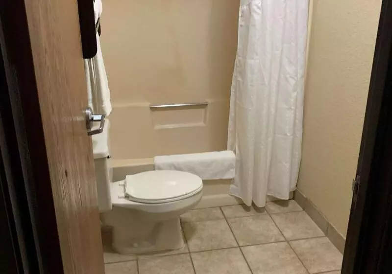 Отель Best Western Watertown Inn And Suites