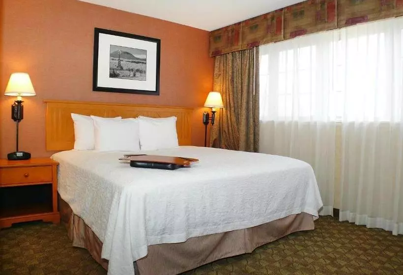 호텔 Hampton Inn & Suites Steamboat Springs