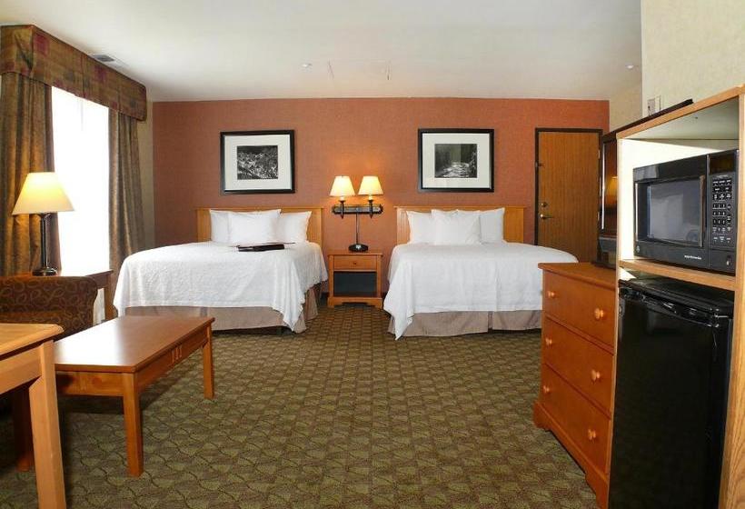 هتل Hampton Inn & Suites Steamboat Springs