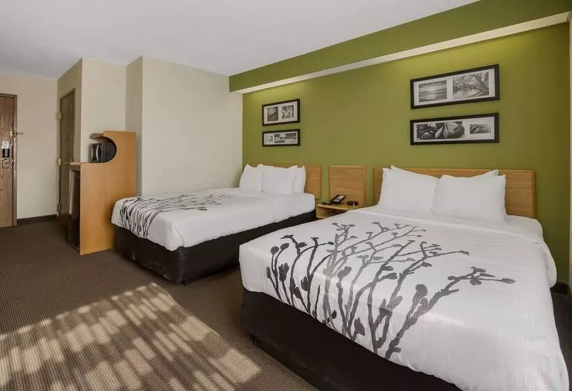 ホテル Sleep Inn
