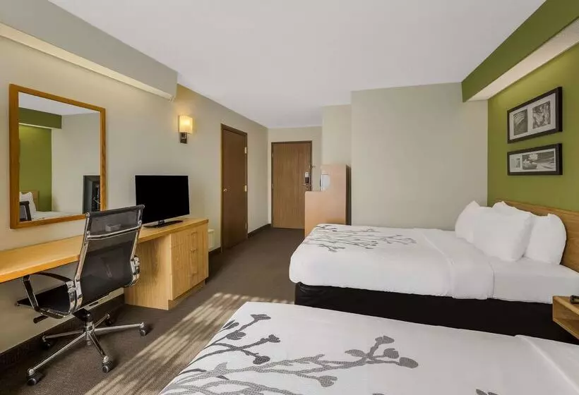 ホテル Sleep Inn