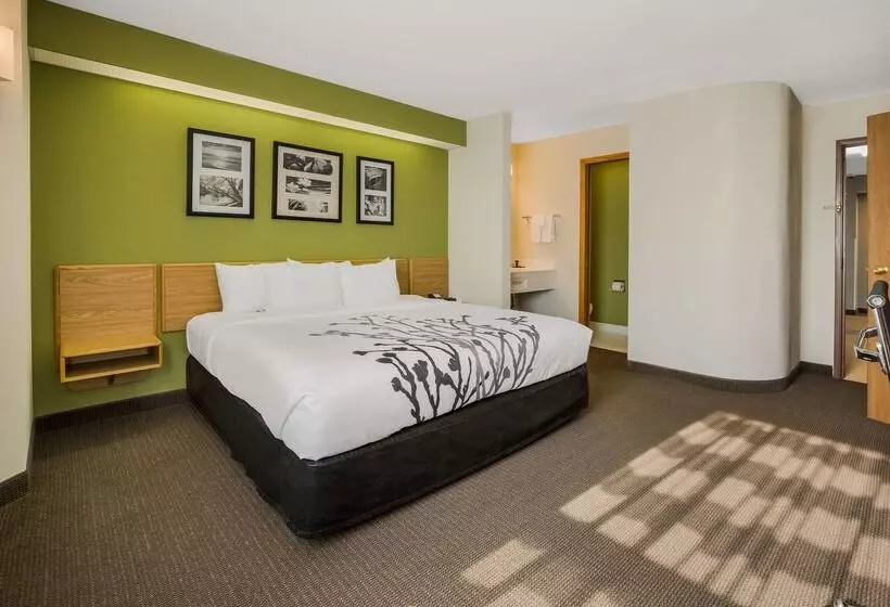 ホテル Sleep Inn