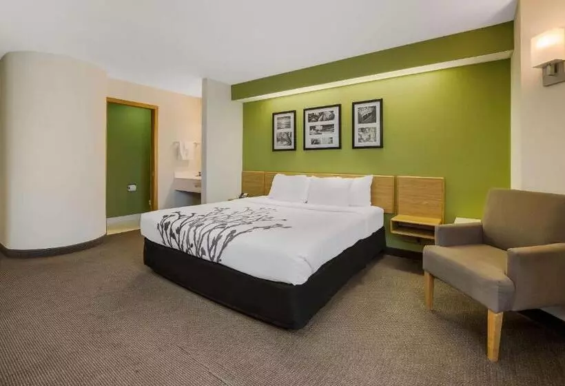 ホテル Sleep Inn