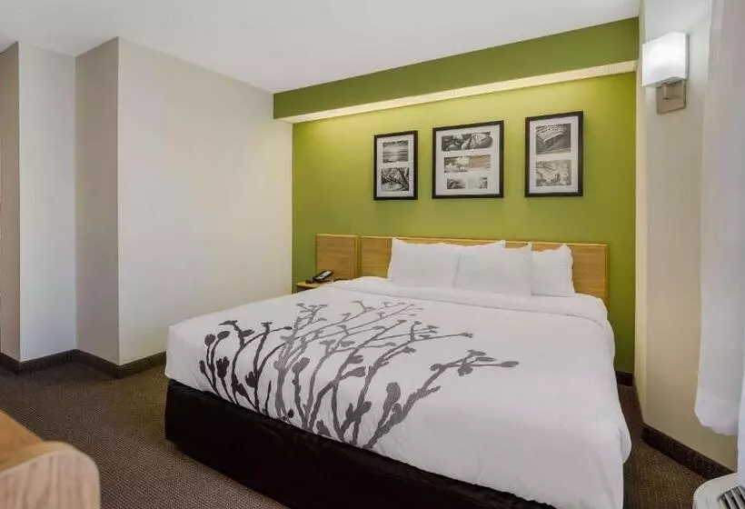 ホテル Sleep Inn