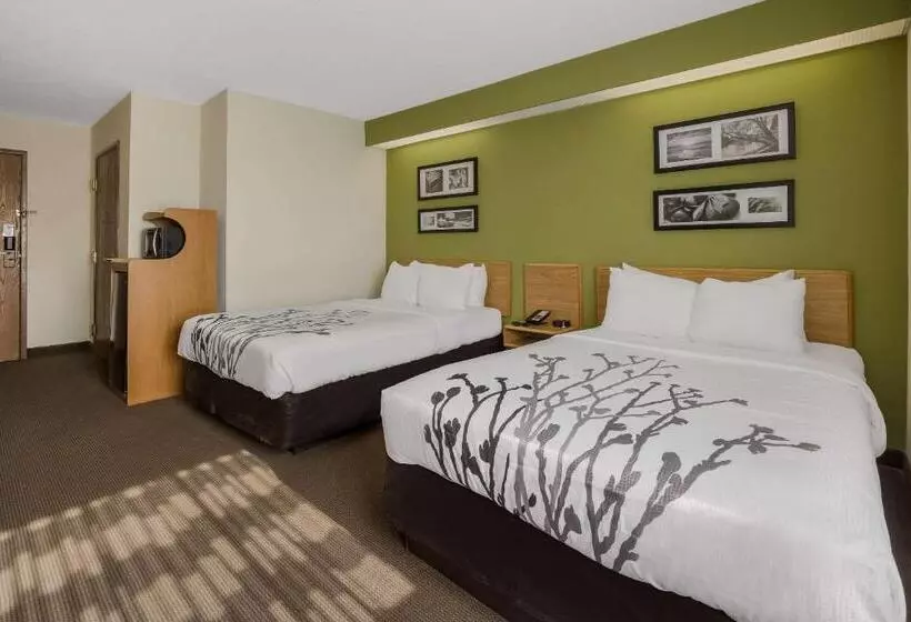 ホテル Sleep Inn