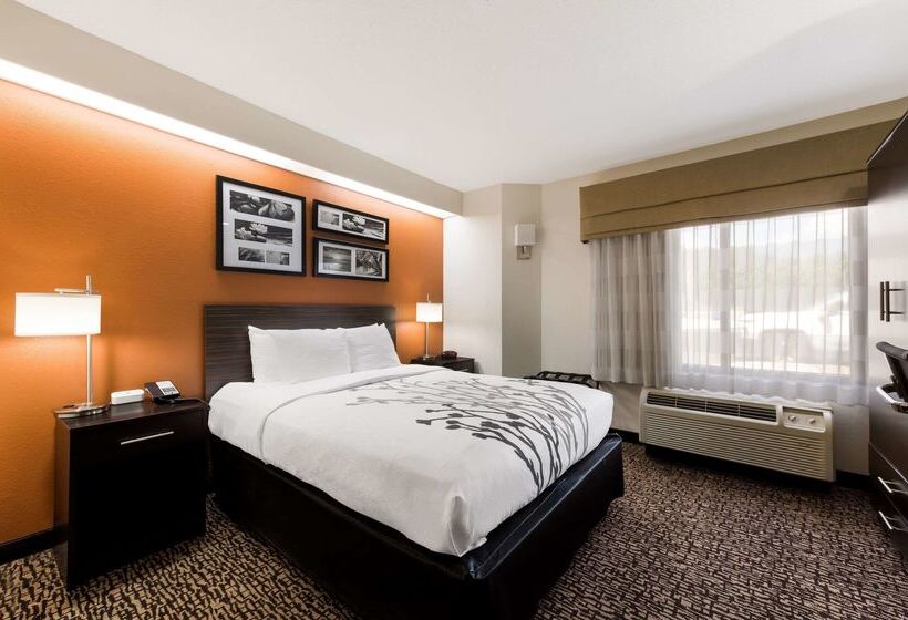 فندق Sleep Inn Kernersville I 40