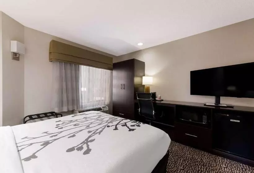 Отель Sleep Inn Kernersville I 40