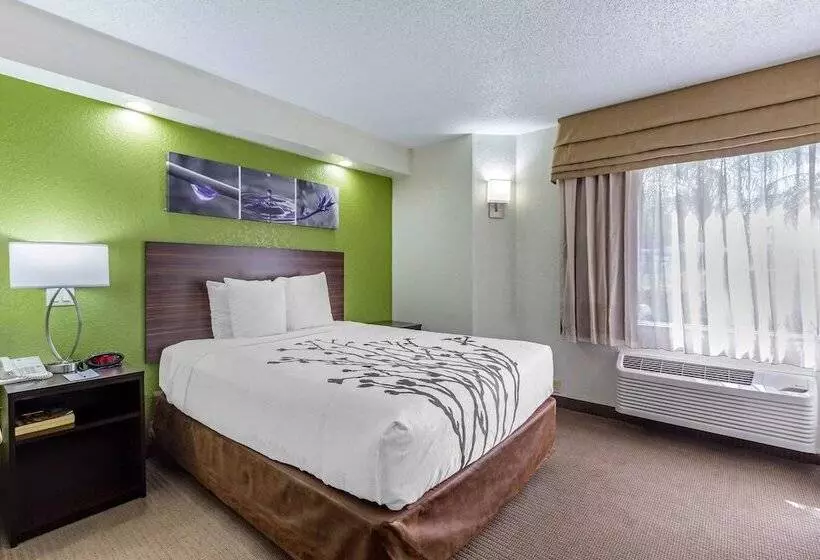 فندق Sleep Inn Near Busch Gardens   Usf