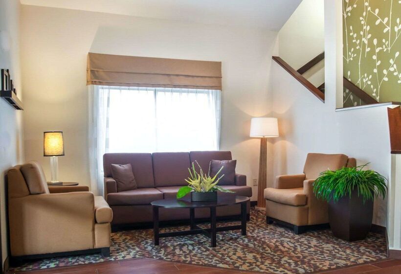 酒店 Sleep Inn Rockville