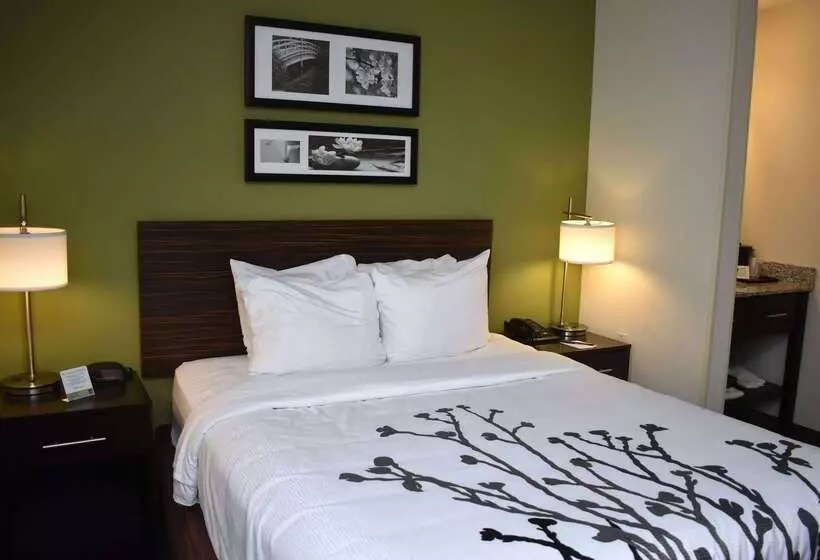 هتل Wingate By Wyndham Salisbury