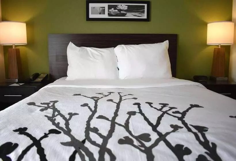 هتل Wingate By Wyndham Salisbury