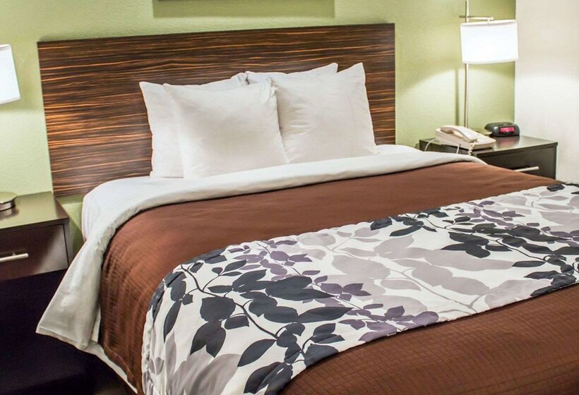 ホテル Sleep Inn