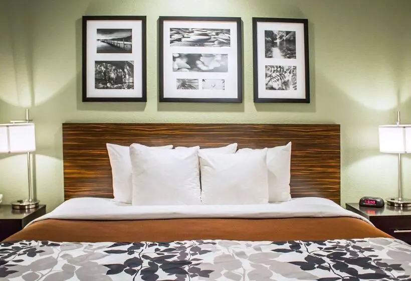 ホテル Sleep Inn