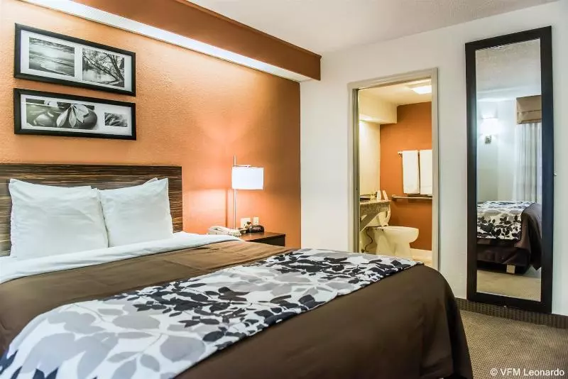 Bob Hotels Tallahassee   Boutique On Budget