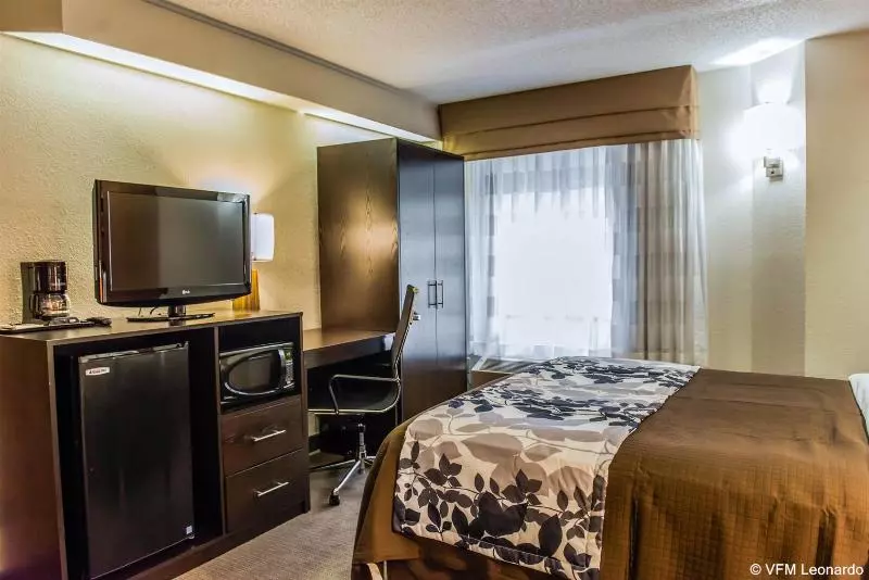 Bob Hotels Tallahassee   Boutique On Budget