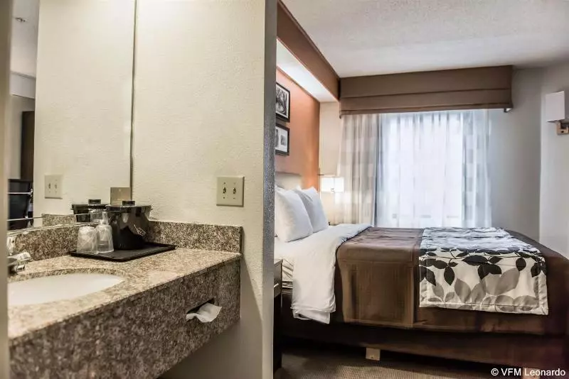 Bob Hotels Tallahassee   Boutique On Budget