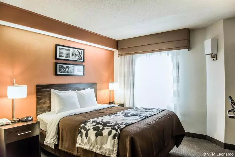 Bob Hotels Tallahassee   Boutique On Budget