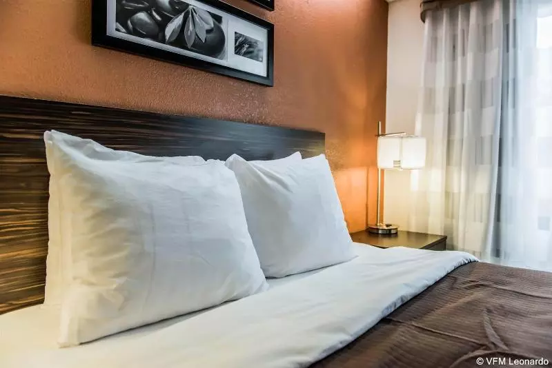 Bob Hotels Tallahassee   Boutique On Budget