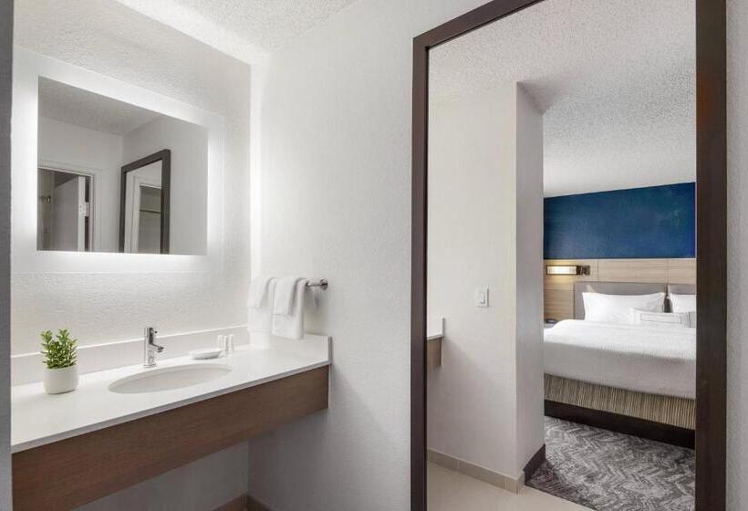 酒店 Springhill Suites Tempe At Arizona Mills Mall