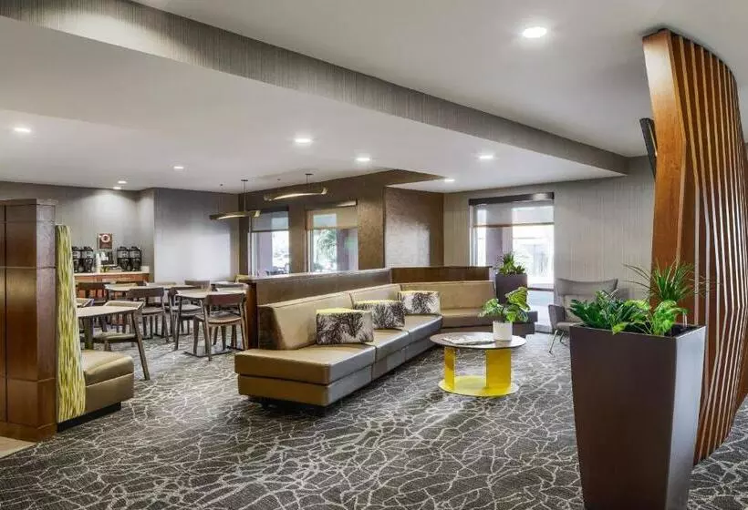 酒店 Springhill Suites Tempe At Arizona Mills Mall