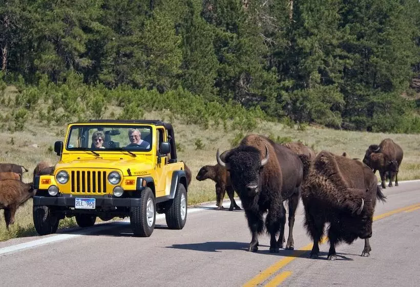 酒店 State Game Lodge At Custer State Park Resort