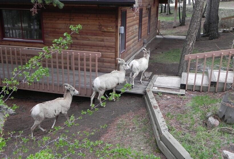 هتل Streamside On Fall River