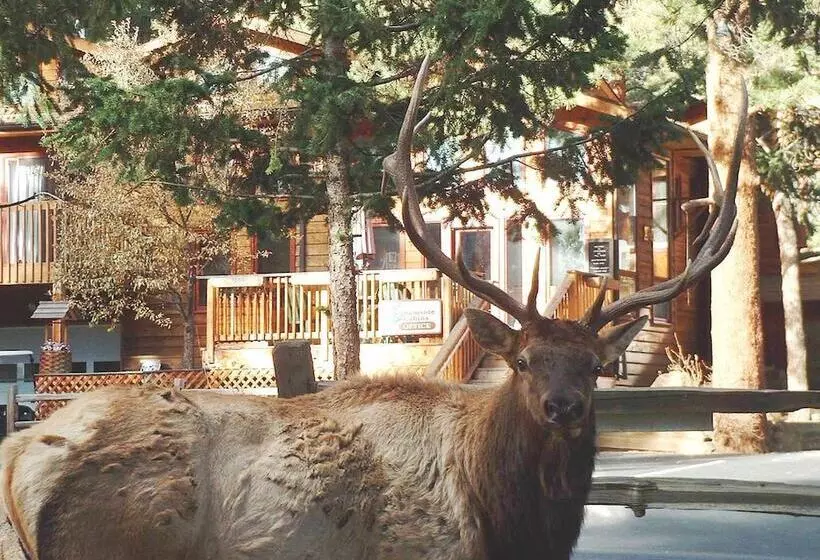 هتل Streamside On Fall River