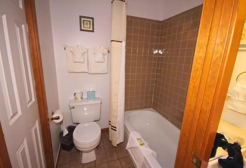 هتل Streamside On Fall River