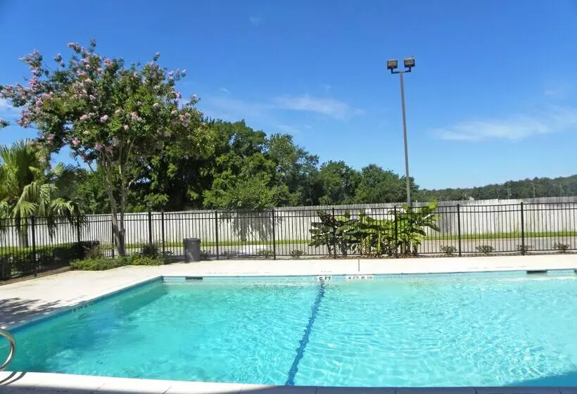 בית מלון כפרי Suburban Studios Houston North I 45