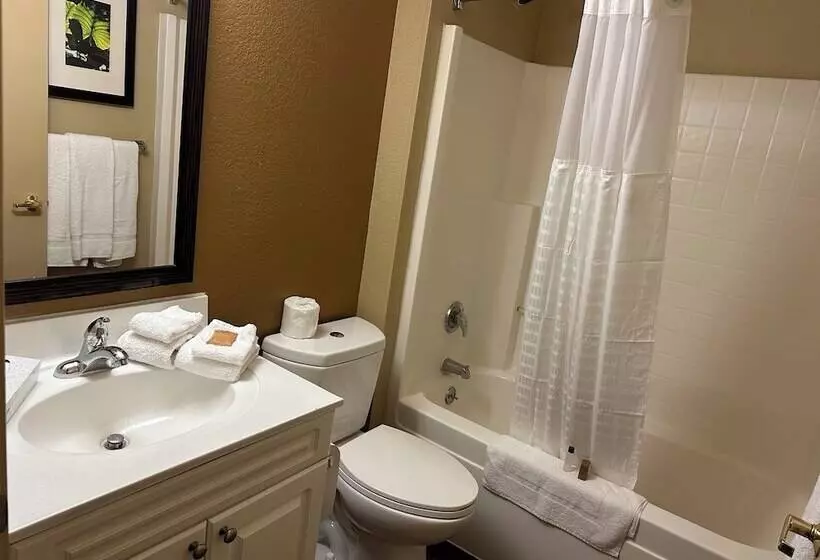 בית מלון כפרי Suburban Studios Houston North I 45