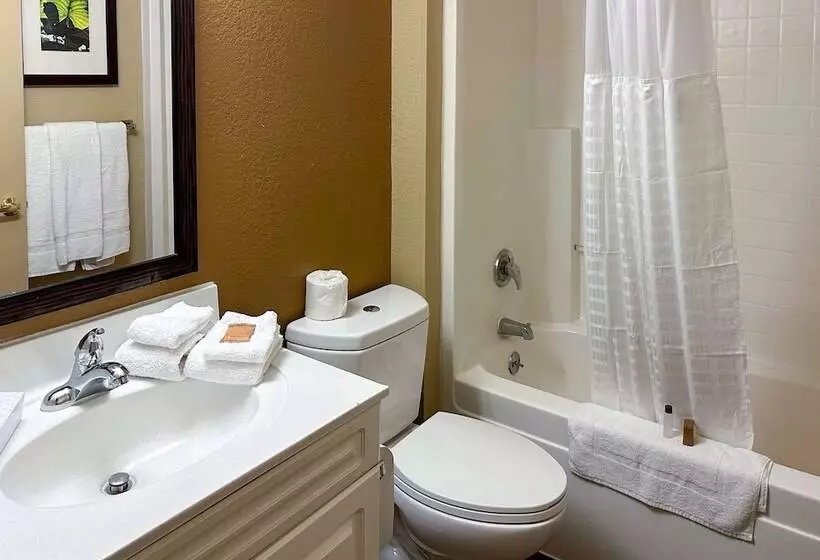 בית מלון כפרי Suburban Studios Houston North I 45