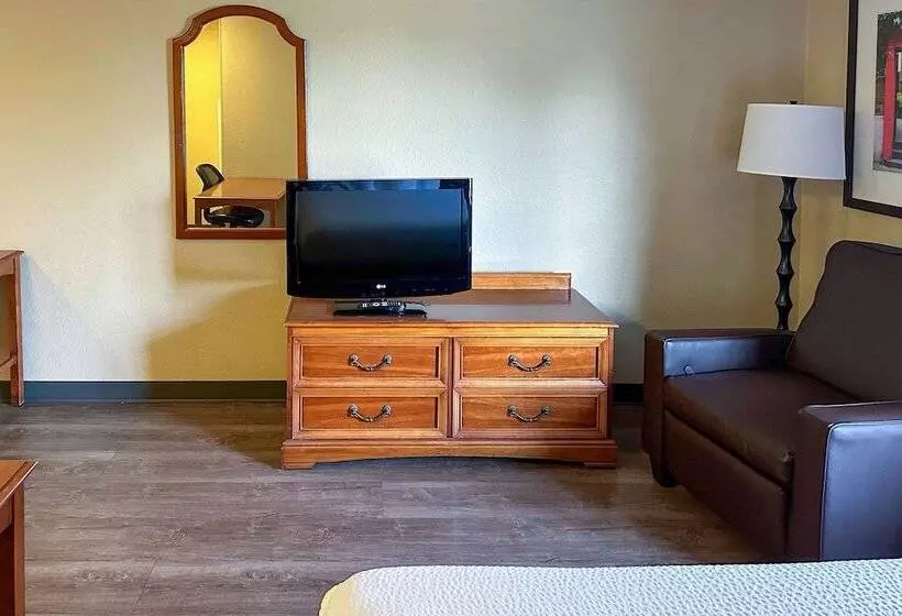 בית מלון כפרי Suburban Studios Houston North I 45