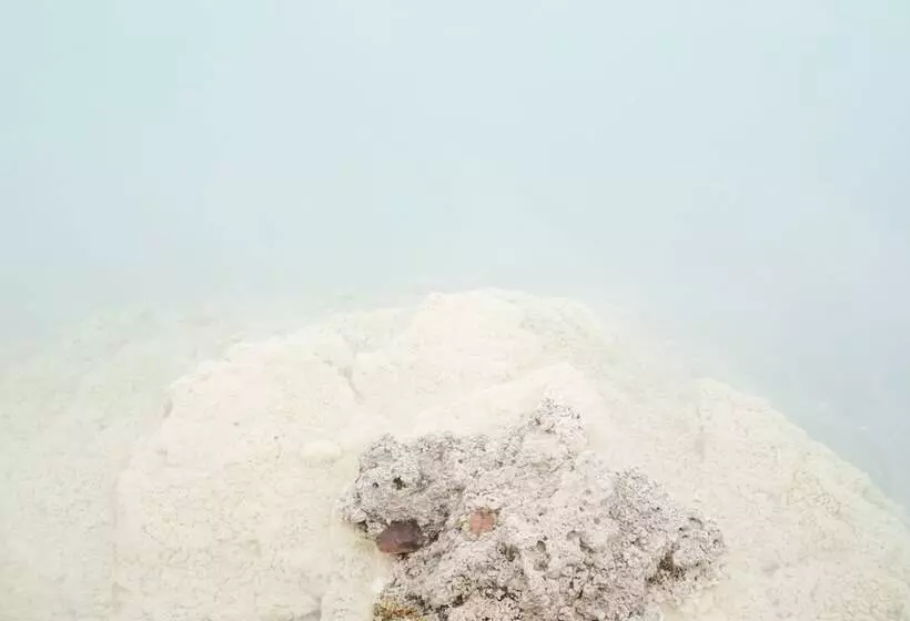 Отель The Springs Resort & Spa