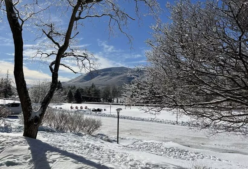 Motel Stanford House