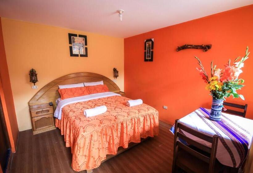 هاستل Rumi Wasi