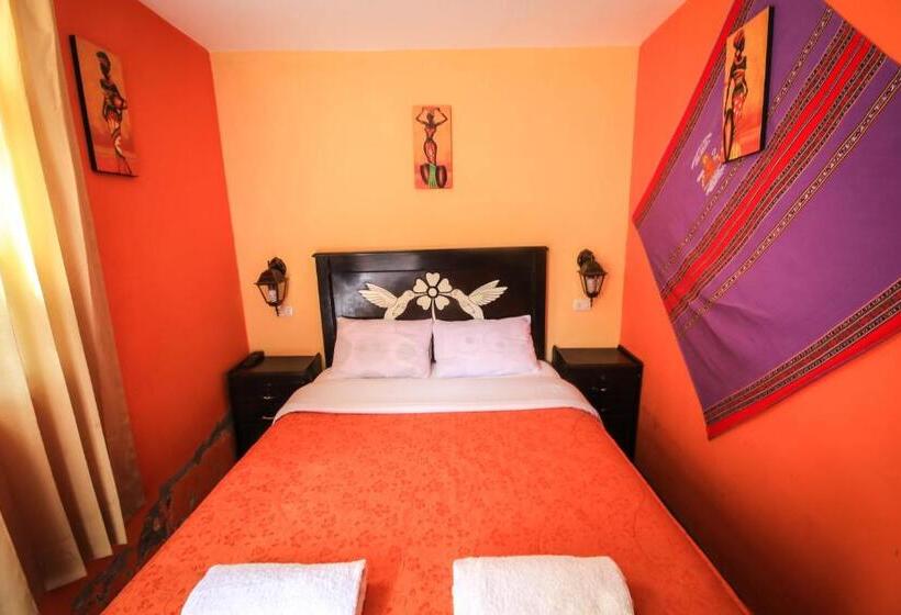 هاستل Rumi Wasi