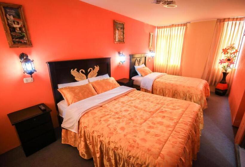 هاستل Rumi Wasi