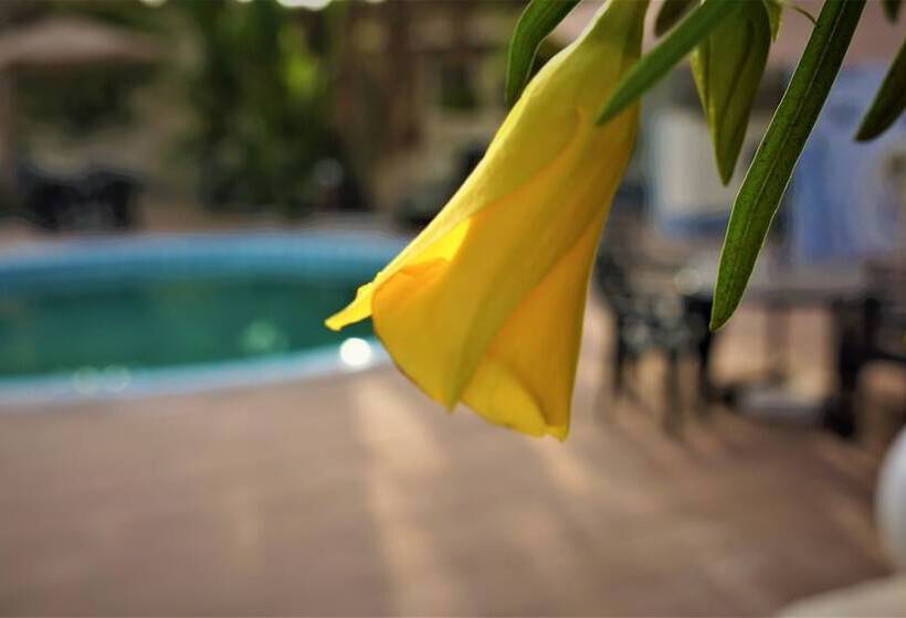 هتل Kunta Lodges Bijilo