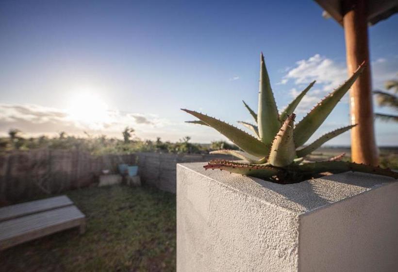 פנסיון Casa Narinho