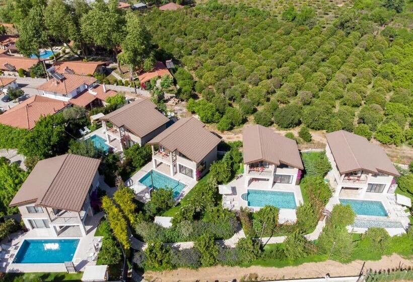 Volans Suites Villas